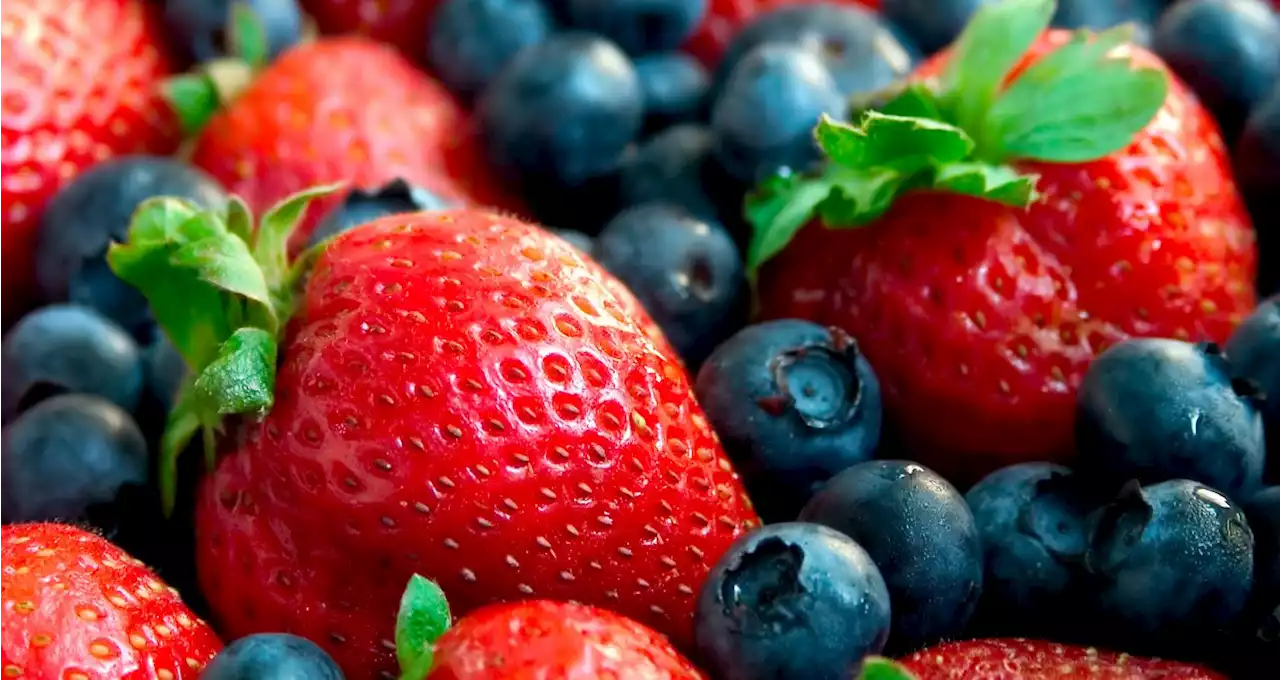 Berry Good for You: Some Foods Can Strengthen Your Brain