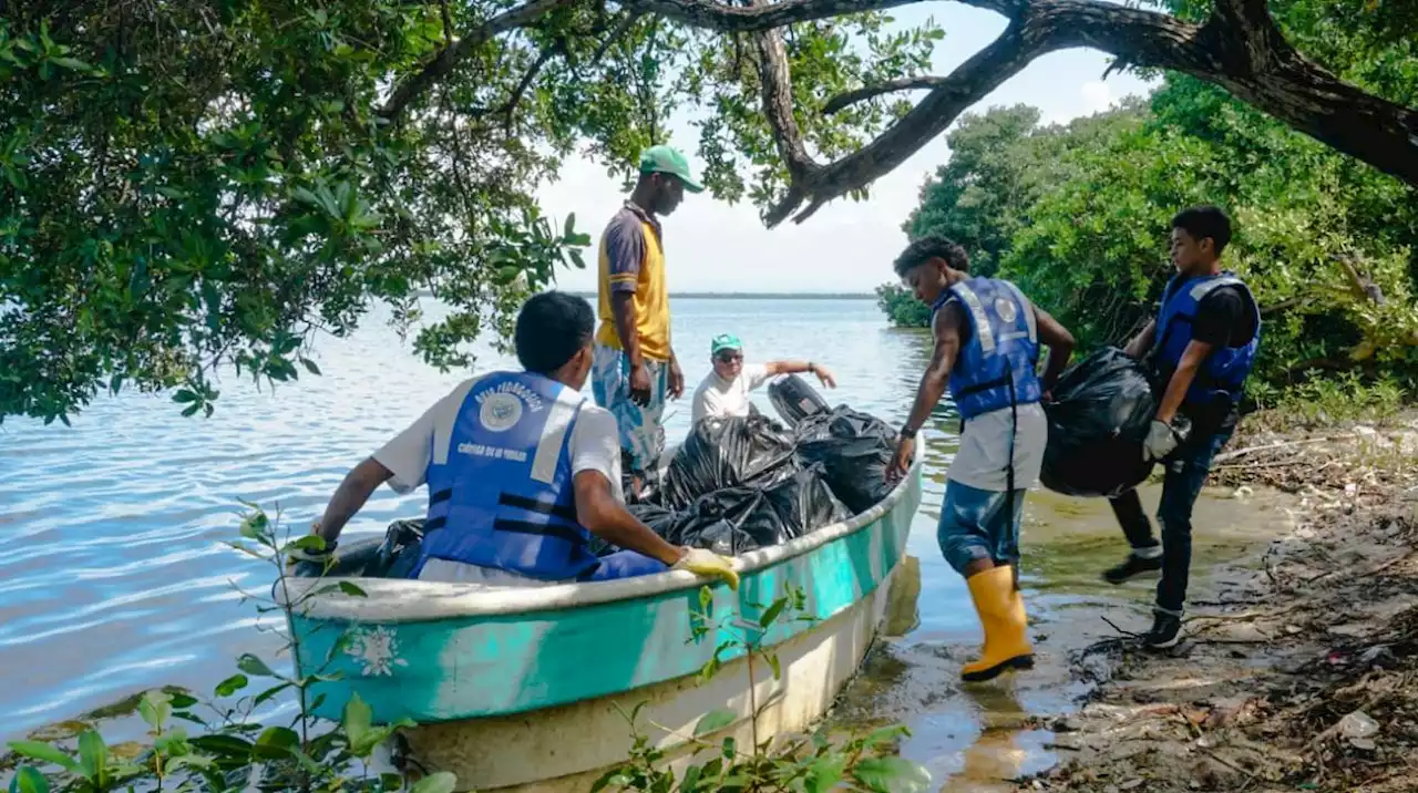 Extraen 15 metros cúbicos de basuras de la Ciénaga de La Virgen