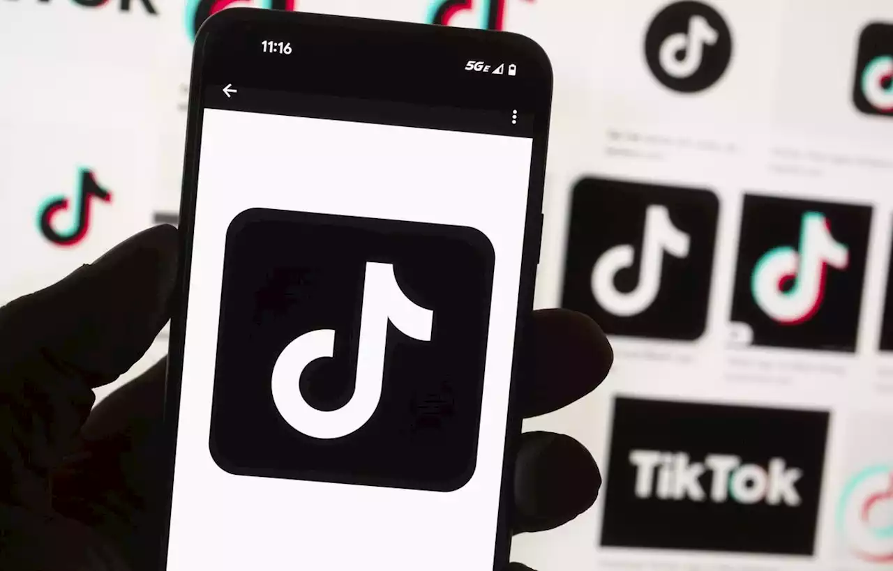 L’Arcom épingle TikTok dans un rapport sur la gestion des « fake news »