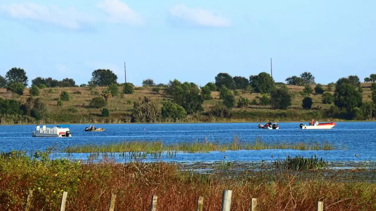 9-year-old boy missing after falling off pontoon boat, being hit by propeller in Florida