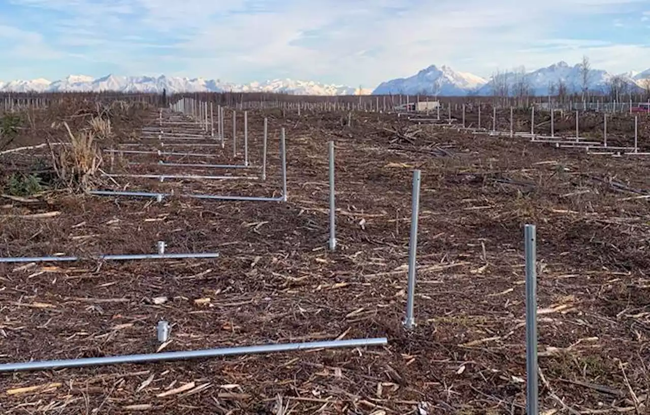 Alaska Energy Authority invests $4.9M in state’s largest solar farm