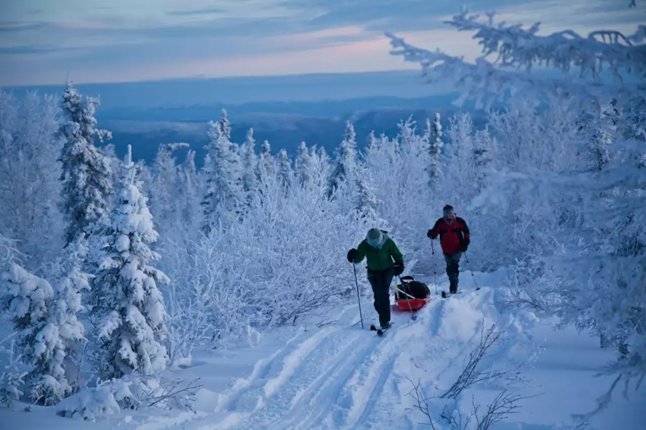 Fairbanks-area tourism company proposes helicopter trips to remote Tolovana Hot Springs