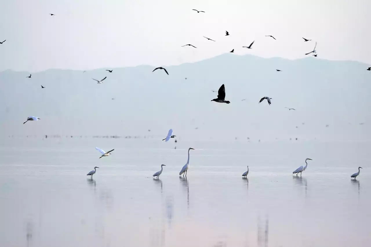 Drying California lake to get $250M in US drought funding