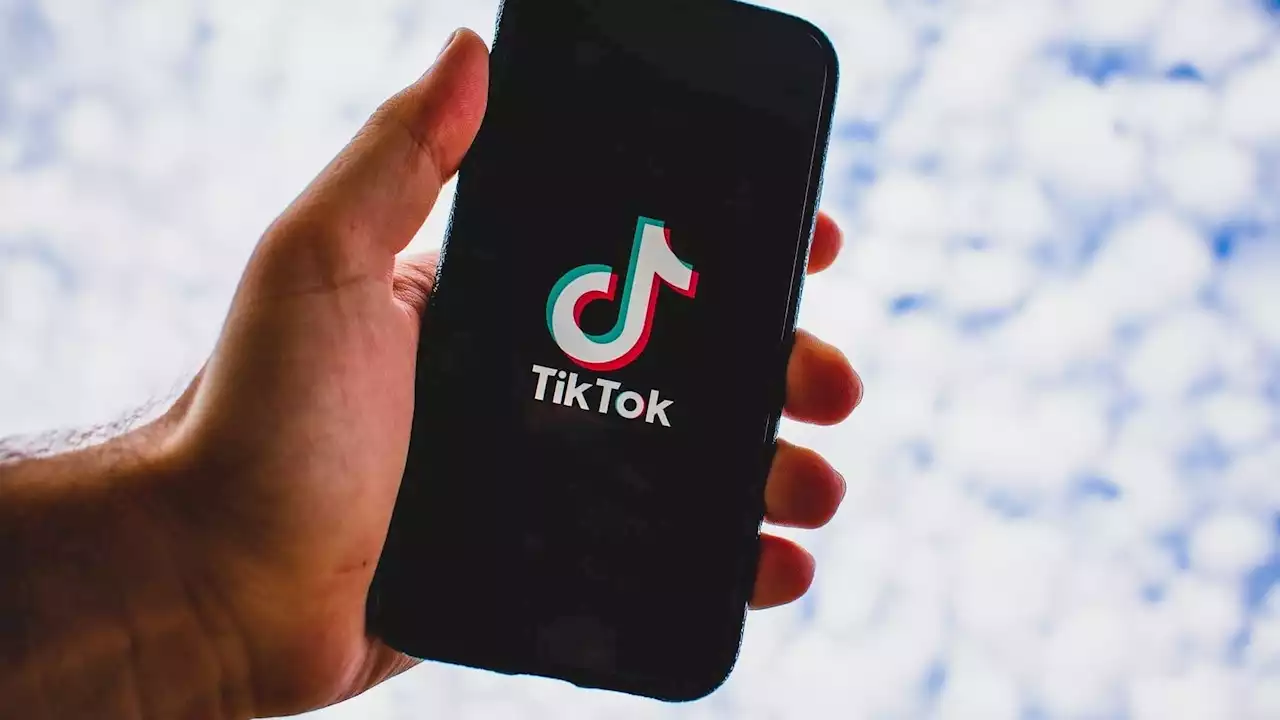 Désinformation: l'Arcom épingle l'opacité de TikTok