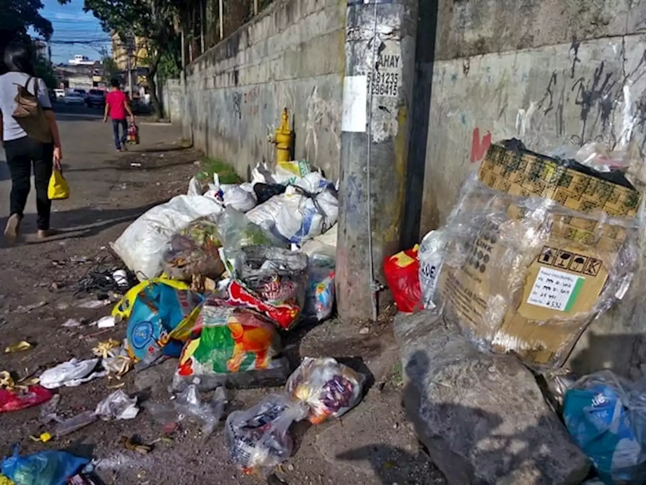 Mayor Rama wants increase in fines for indiscriminate throwing of garbage in Cebu City