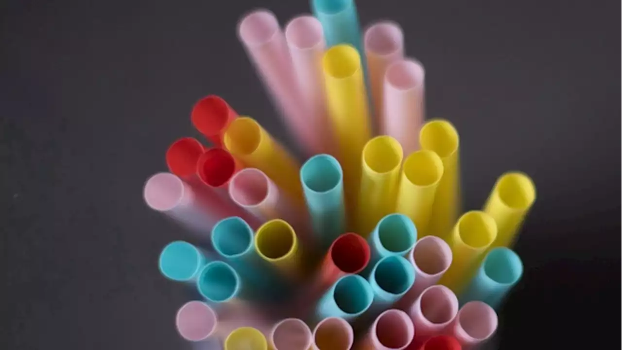 Canadians cutting back on their use of plastic straws, grocery bags as national ban approaches