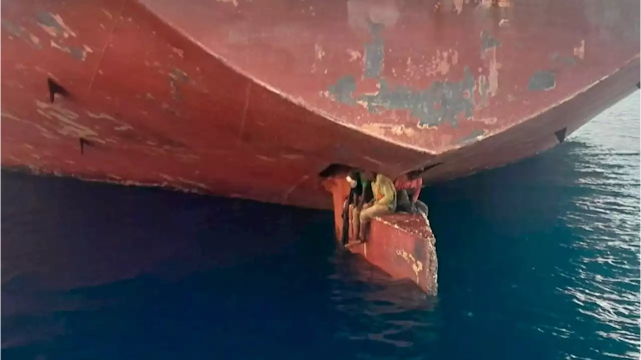 Stowaways found on a ship's rudder in Spain's Canary Islands