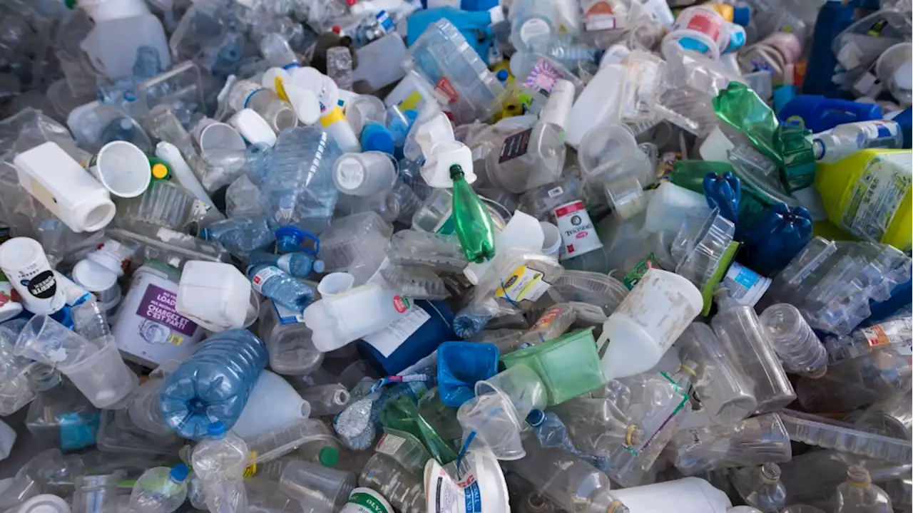 New stats suggest Canadians already kicking some plastic habits as national ban looms