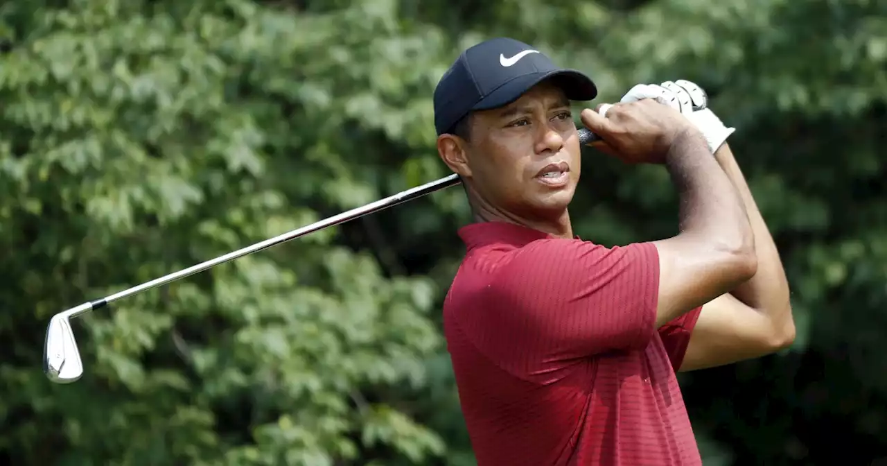 Tiger bears his claws: Woods calls to oust Greg Norman in bid to help solve golf civil war