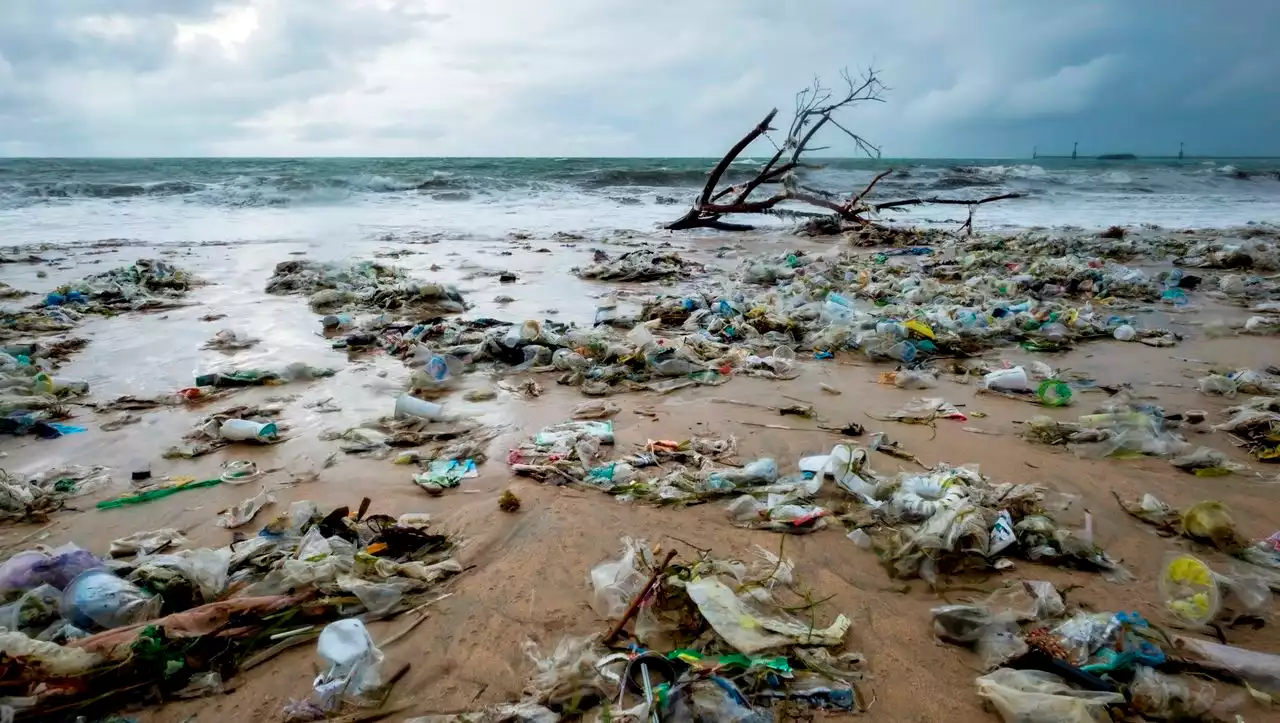 Treffen in Uruguay: Verhandlungen über erstes globales Abkommen gegen Plastikmüll beginnen