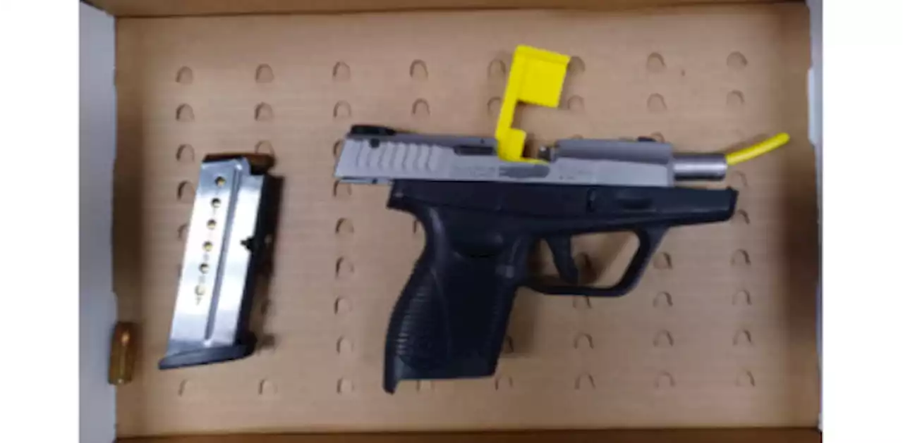 Durham police seize gun and fentanyl in Oshawa; two charged