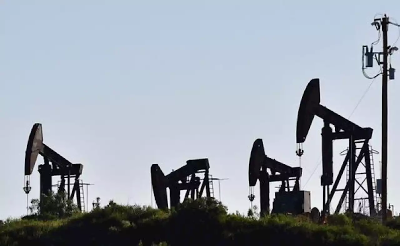 Petróleo cae a su nivel más bajo antes de reunión de OPEP