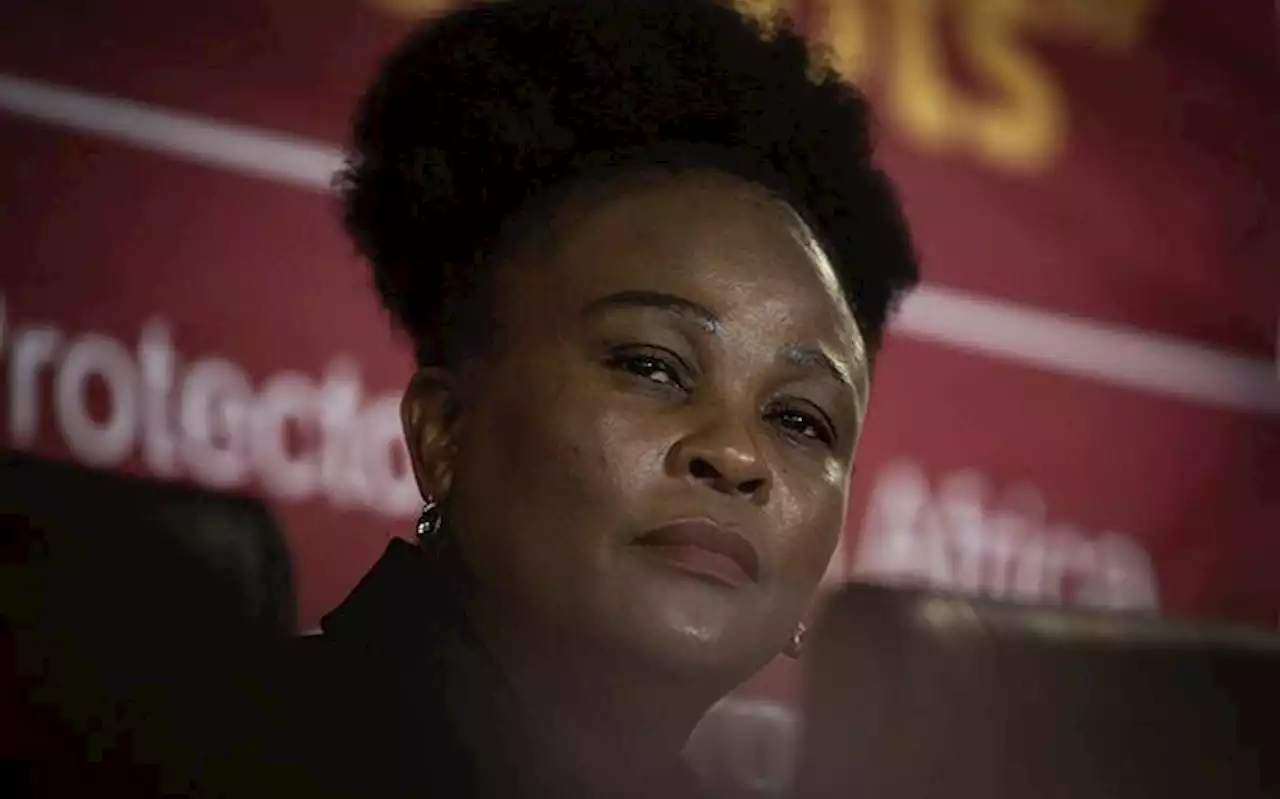 Impeachment inquiry: First witness to testify in Mkhwebane's defence