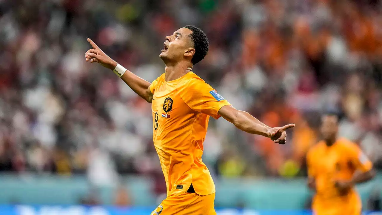 World Cup 2022: Netherlands wins Group A, Senegal clinches spot in knockout stage