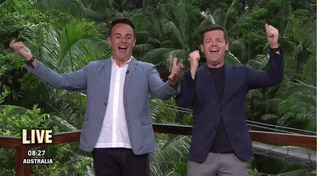 The I’m A Celeb Reunion: Everything You Need To Know