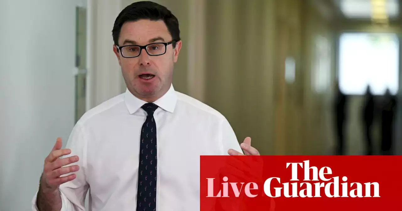 Australia politics live: Littleproud admits Price’s ‘dripping with Gucci’ comment unhelpful as Nationals officially reject voice