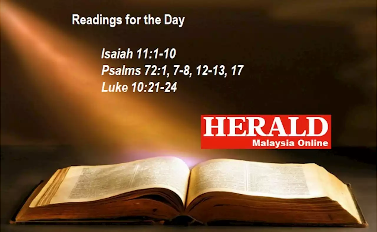 Latest World News, Daily Gospels, Pope Vatican | Herald Malaysia