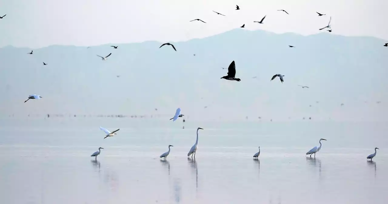 Drying California Lake To Get $250M In U.S. Drought Funding