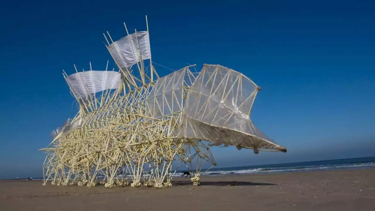 Strandbeests: The Engineering Wonder of Wind-Powered Skeletons