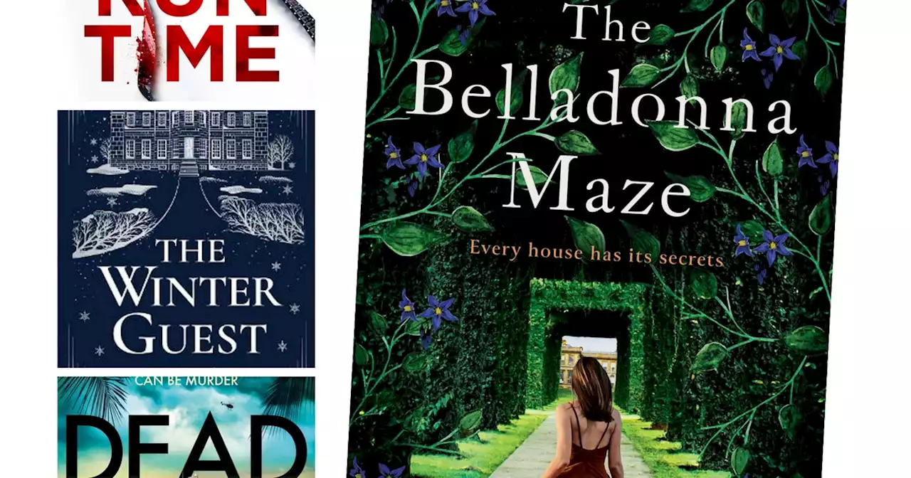 The Irish Times books of the year: Best crime fiction of 2022