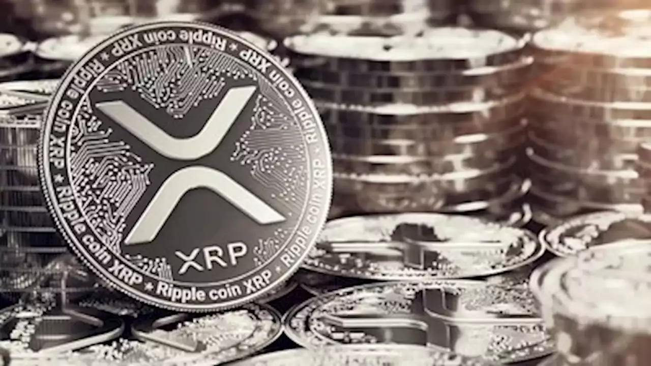 XRP is the third largest holding on Coinsquare - Canada's largest crypto exchange