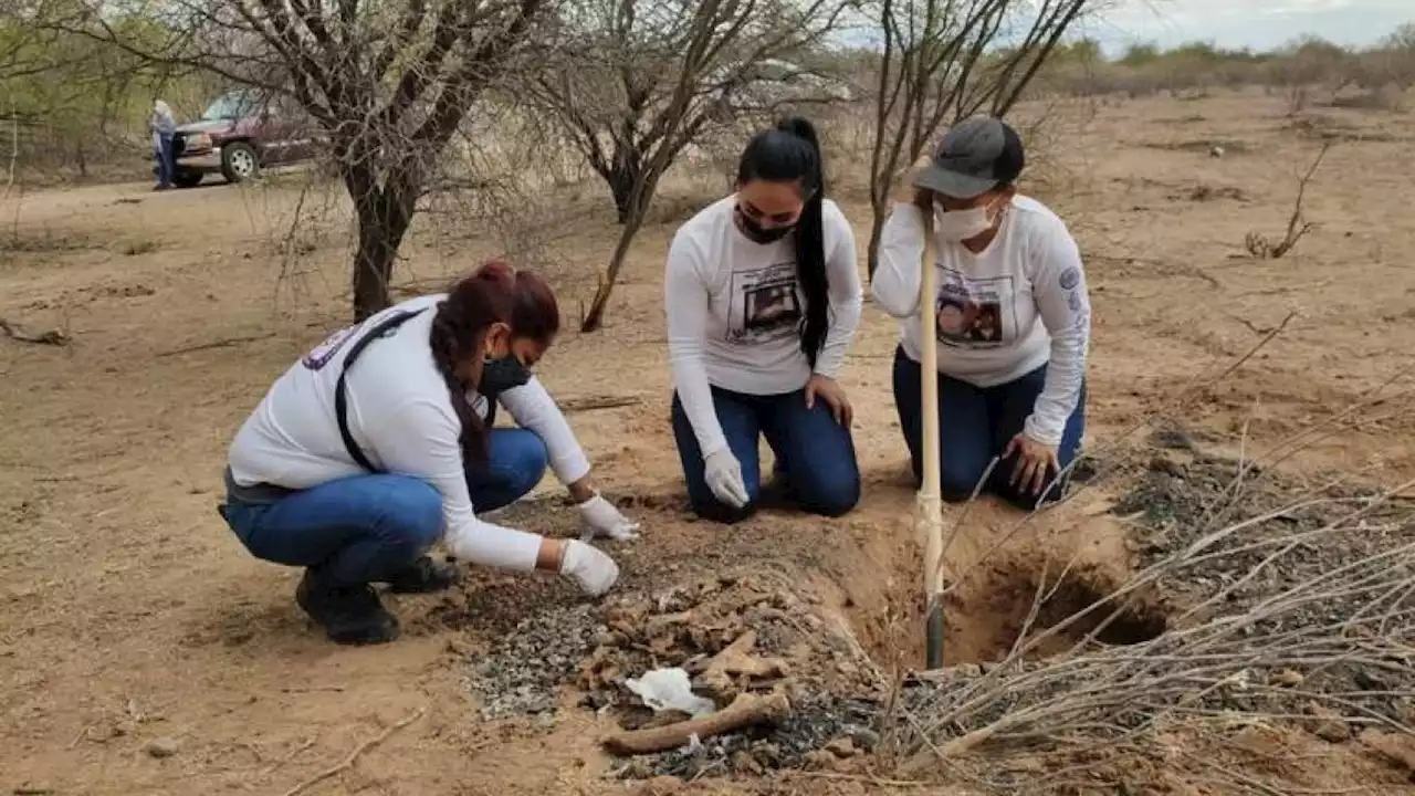 En aumento, las desapariciones en Sonora