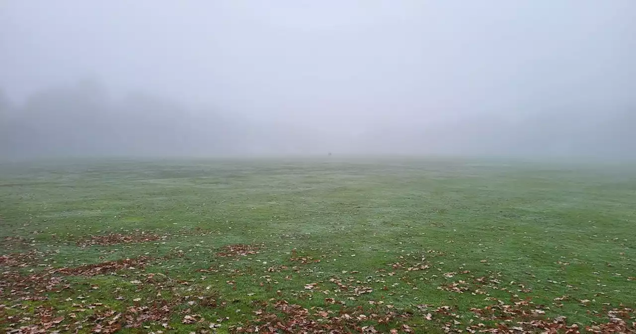 Leeds fog covers city all day as roads and flights hit by weather chaos