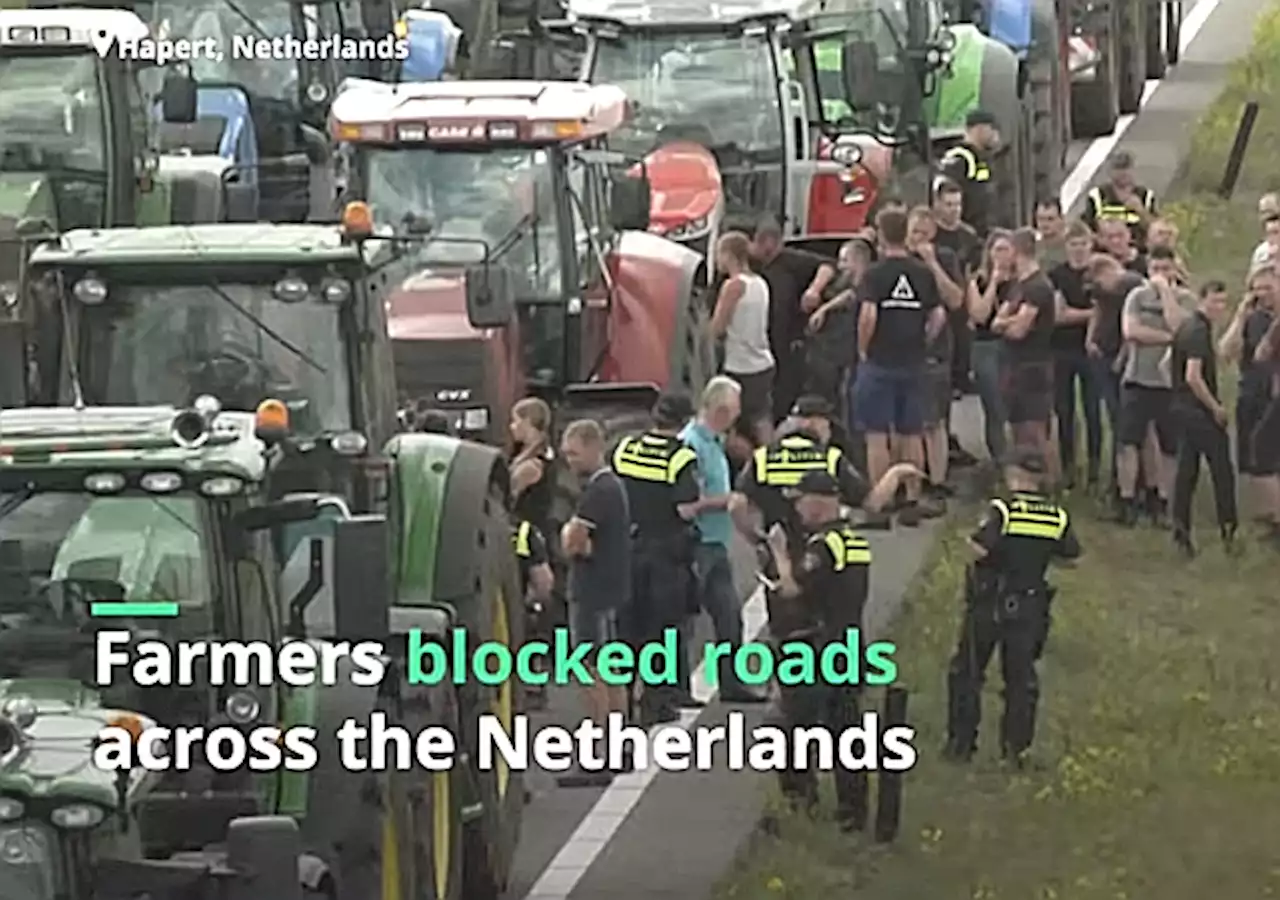 Netherlands to Shut Down Thousands of Farms to Comply With EU Climate Demands