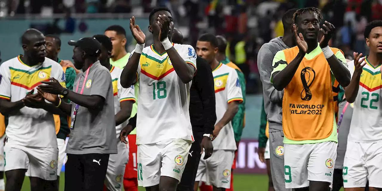 Coupe du monde 2022 : le Sénégal relève la tête de l’Afrique