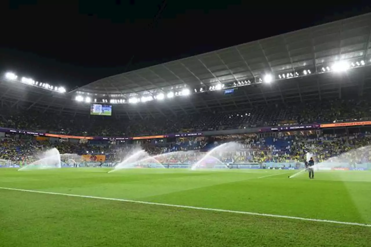 Le Brésil va saisir la FIFA concernant l'état de la pelouse du stade 974