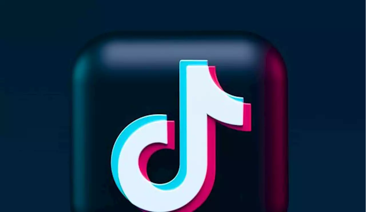 Protection de l'enfance : la com' en toc de TikTok France