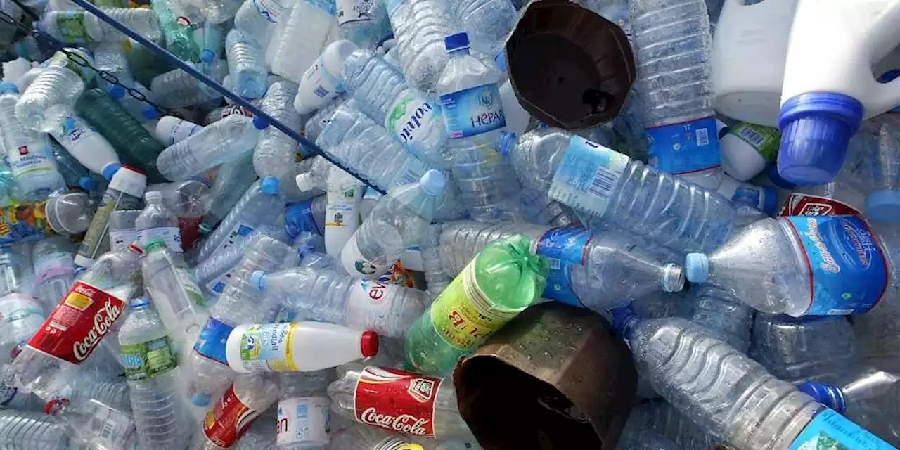 Les plastiques, même « biodégradables », doivent être bannis des composteurs domestiques