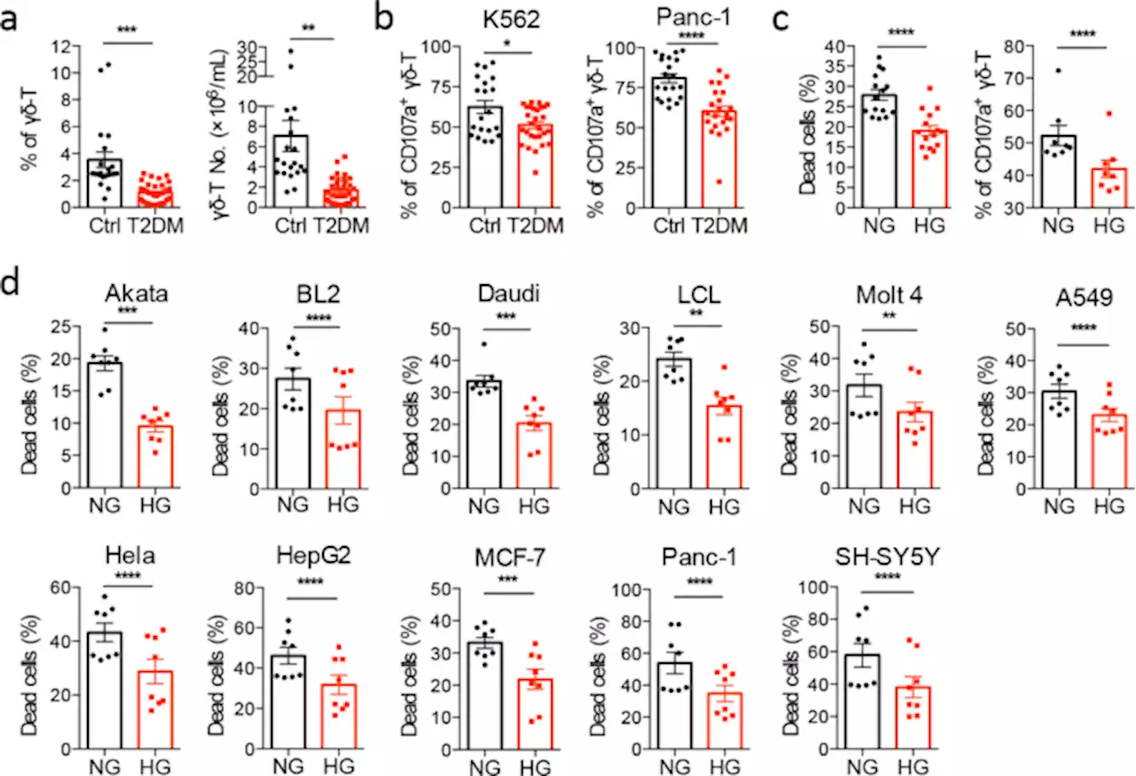 Glucose metabolism controls human γδ T-cell-mediated tumor immunosurveillance in diabetes - Cellular & Molecular Immunology