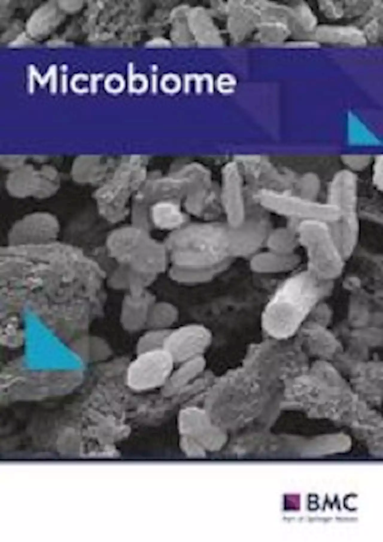 Vaginal microbiome-host interactions modeled in a human vagina-on-a-chip - Microbiome