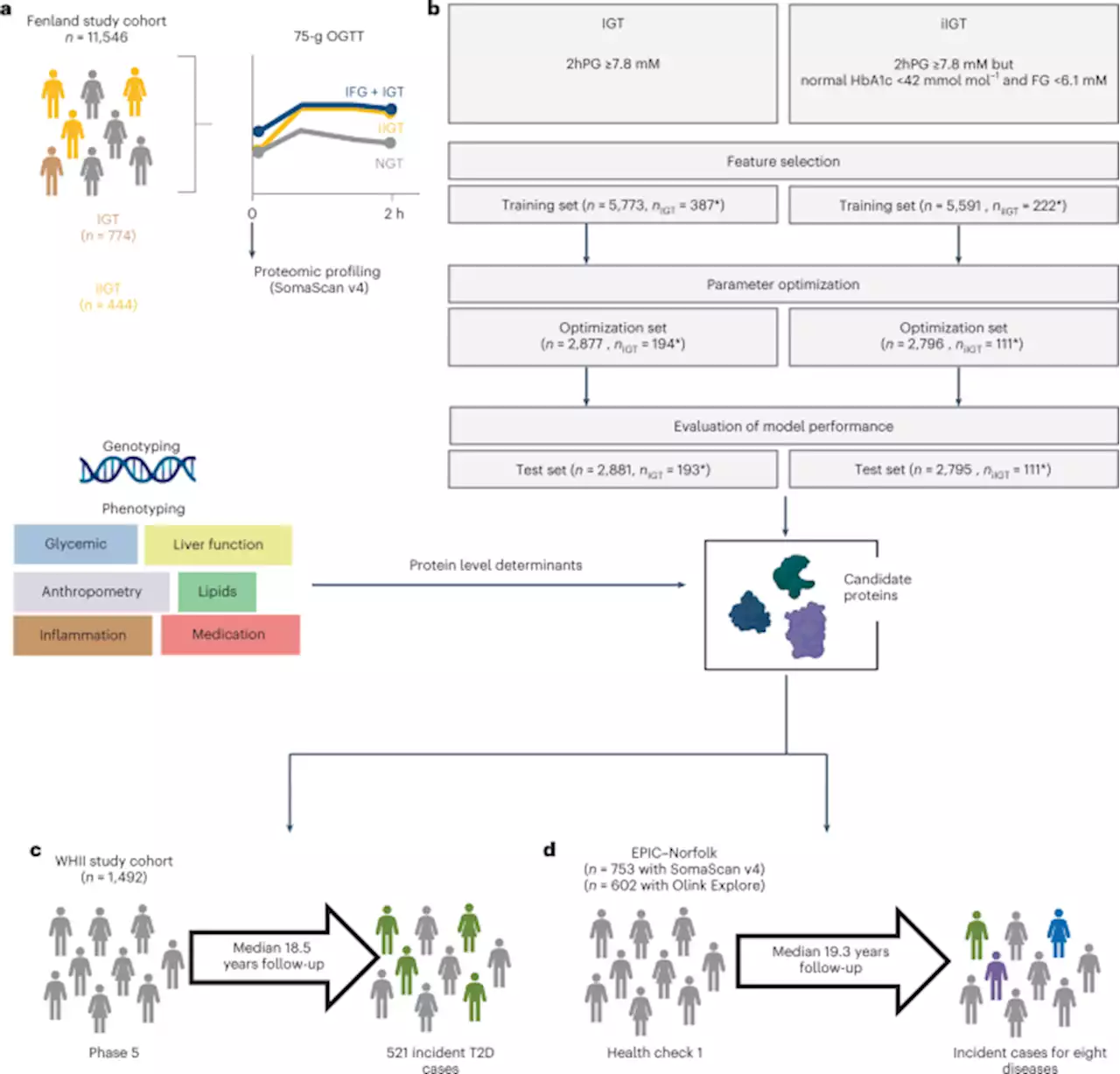 Proteomic signatures for identification of impaired glucose tolerance - Nature Medicine