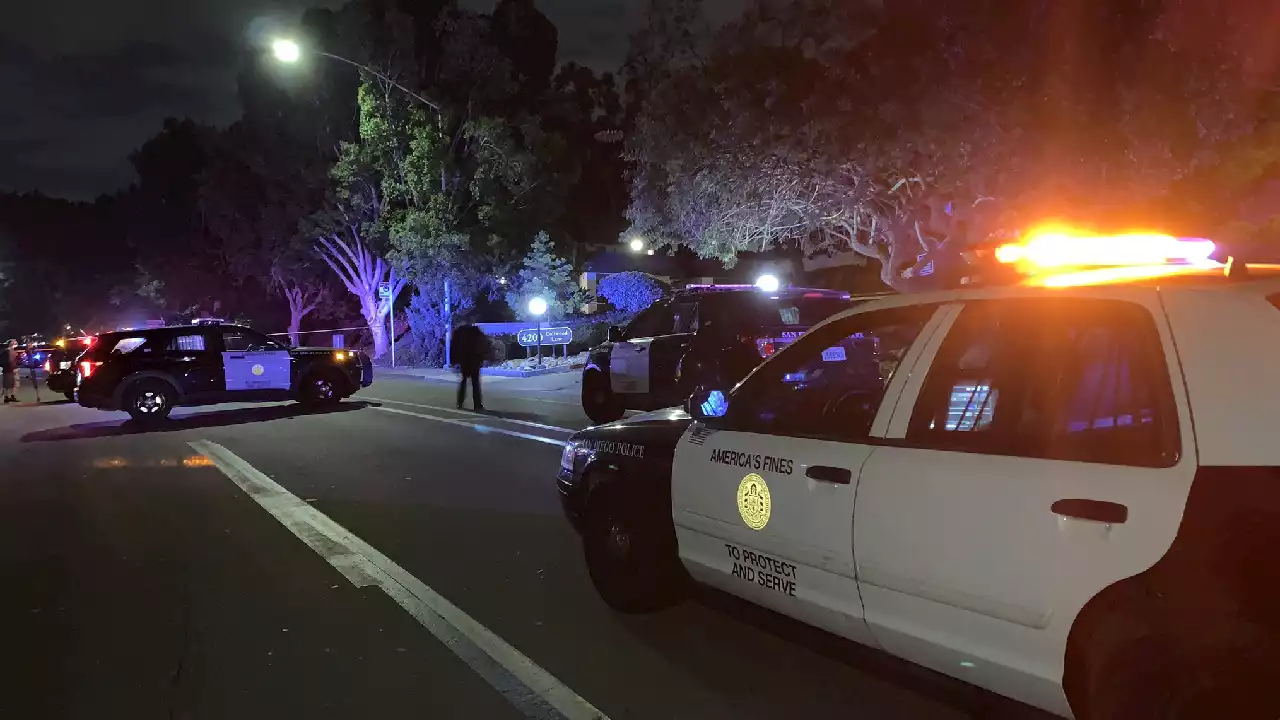 Law Enforcement Officials Shoot Woman Who Brandished Replica Handgun in Talmadge: SDPD