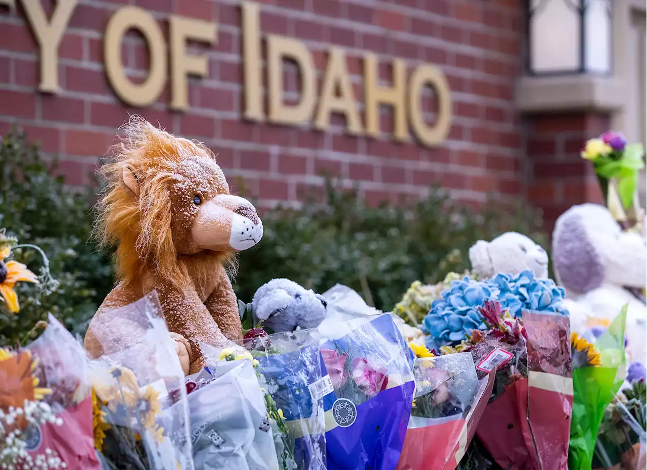 Retrieving DNA from house of slain Idaho students could be a nightmare