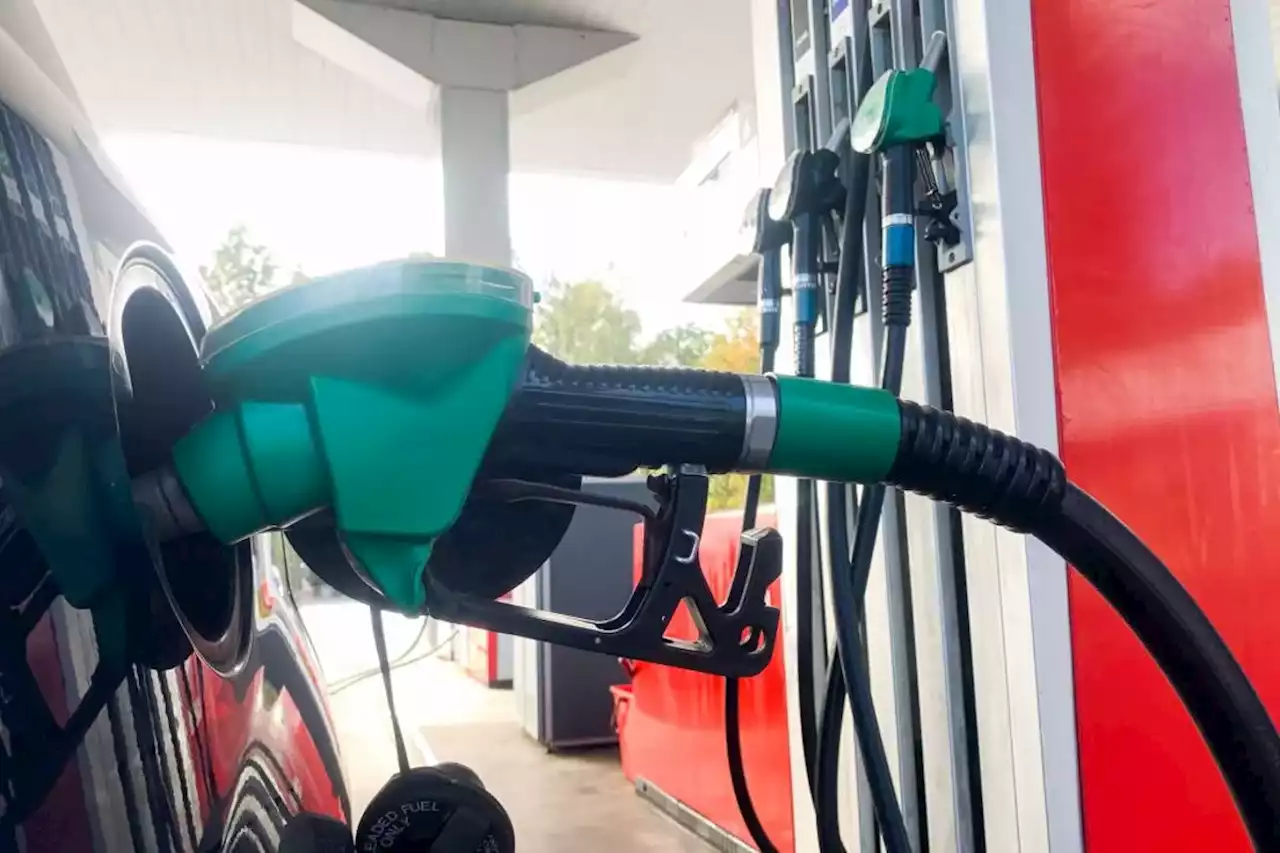 Precio de gasolina asusta en Colombia: cómo elegir un carro que le ayude a ahorrar plata - Pulzo