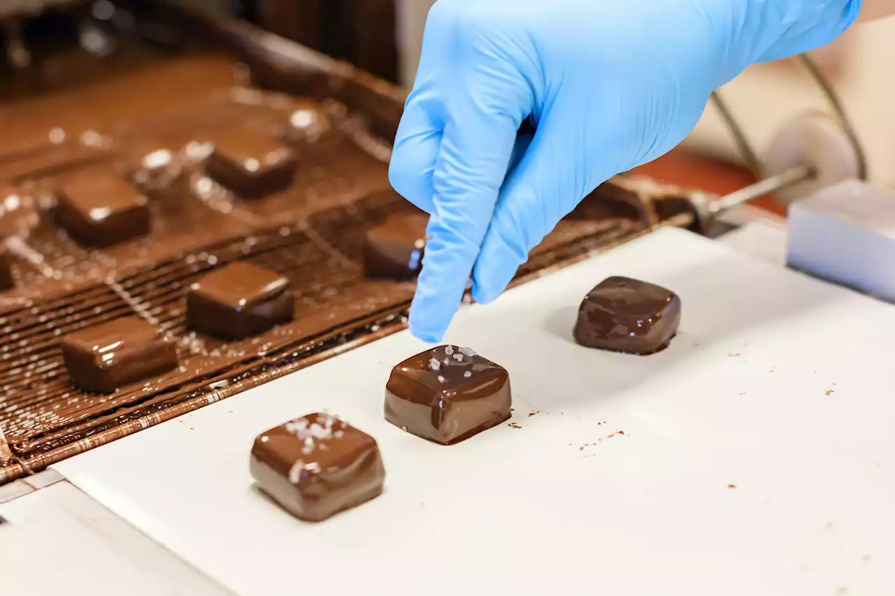 Christmas and chocolate go hand-in-hand: East Coast chocolatiers gearing up for busy season | SaltWire