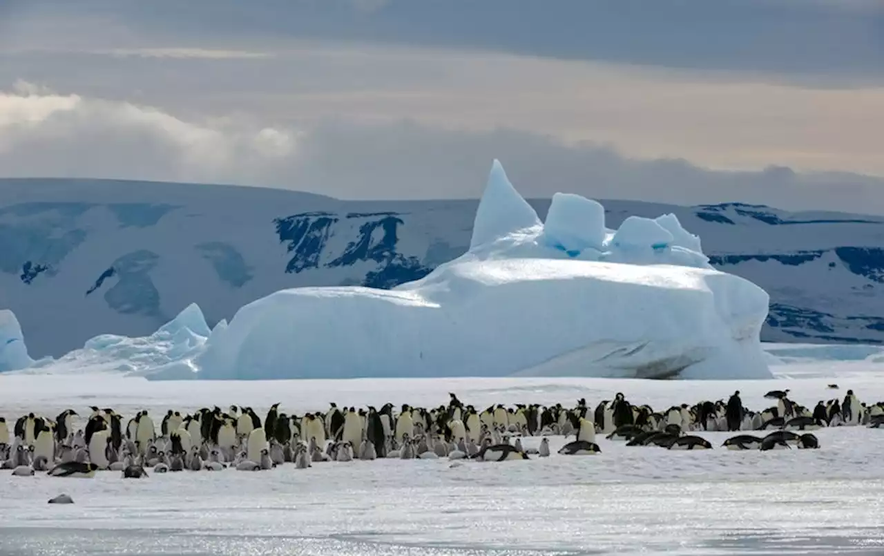 China and Russia Continue to Block Protections for Antarctica