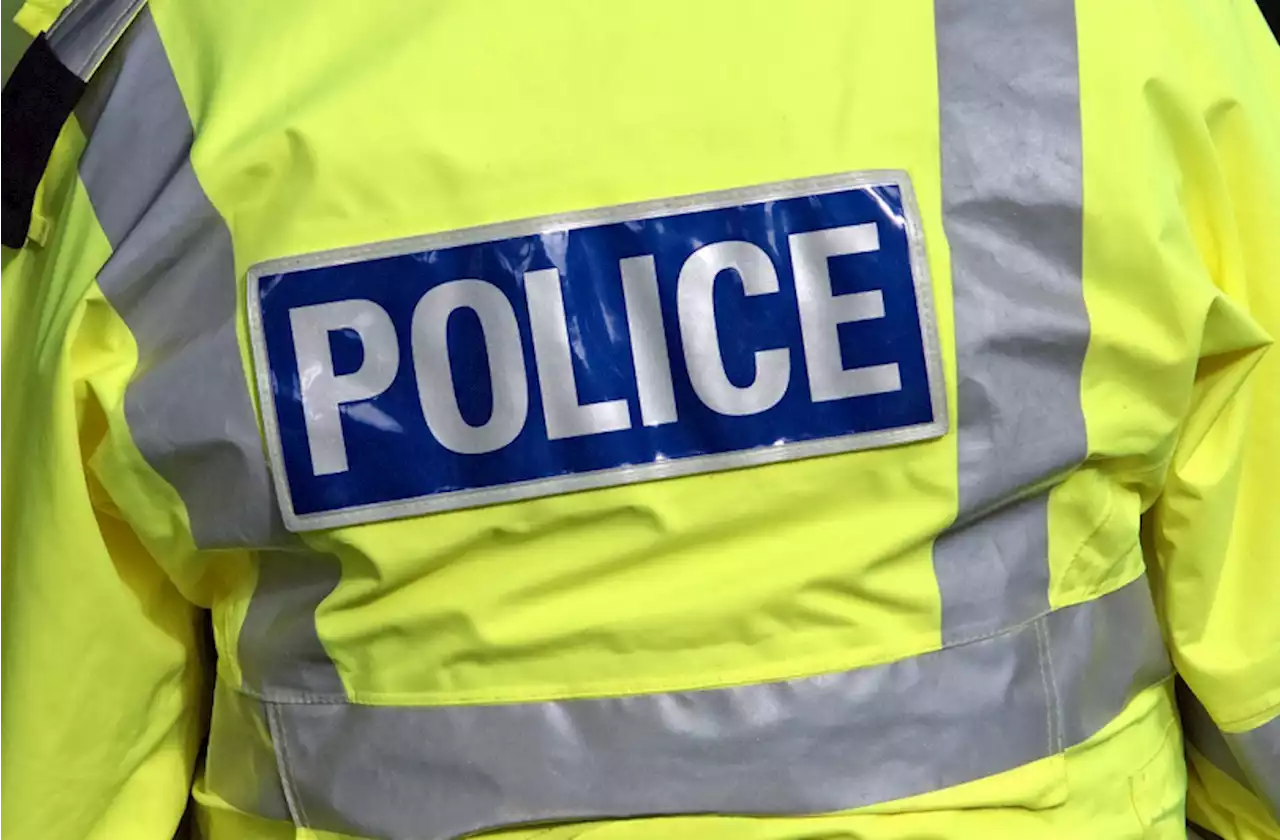 Police appeal for witnesses after woman raped in Wellington