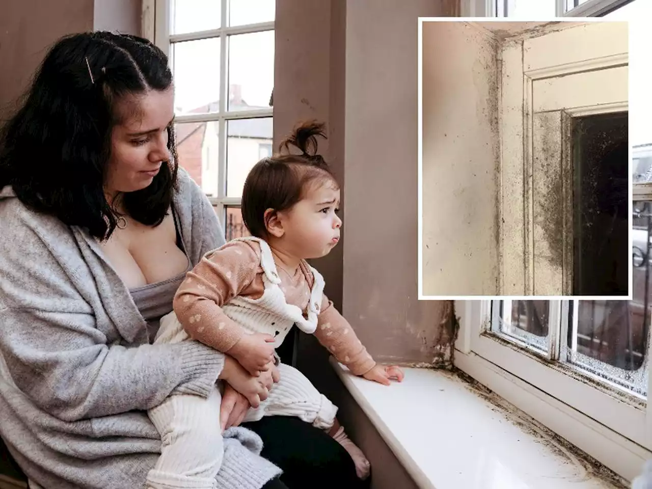 'I don't want to bury another child': Telford mum's fear over mould in social housing