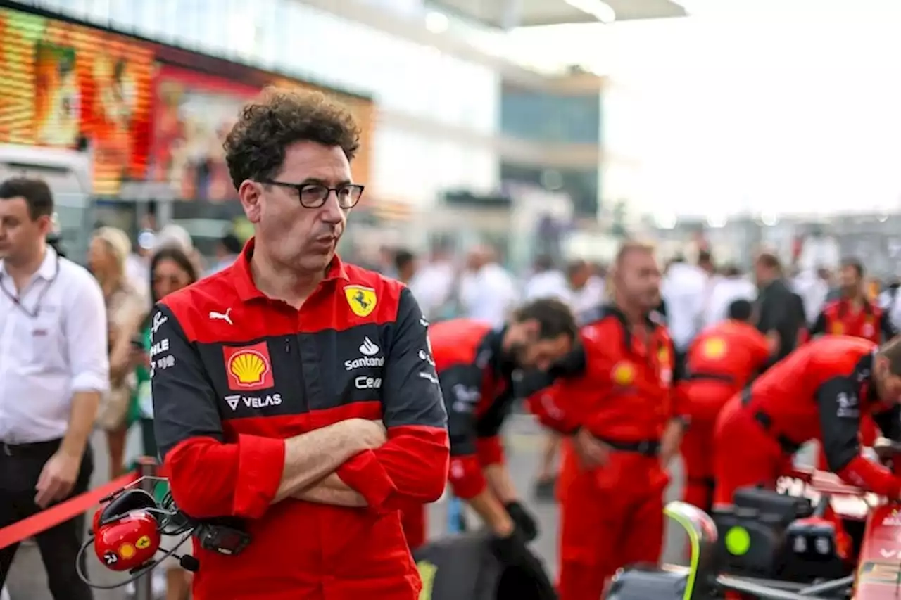 Ferrari: Teamchef Mattia Binotto sass auf Pulverfass