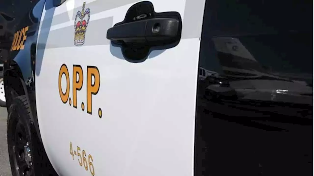Manitoulin OPP seek witnesses to Nov. 20 collision