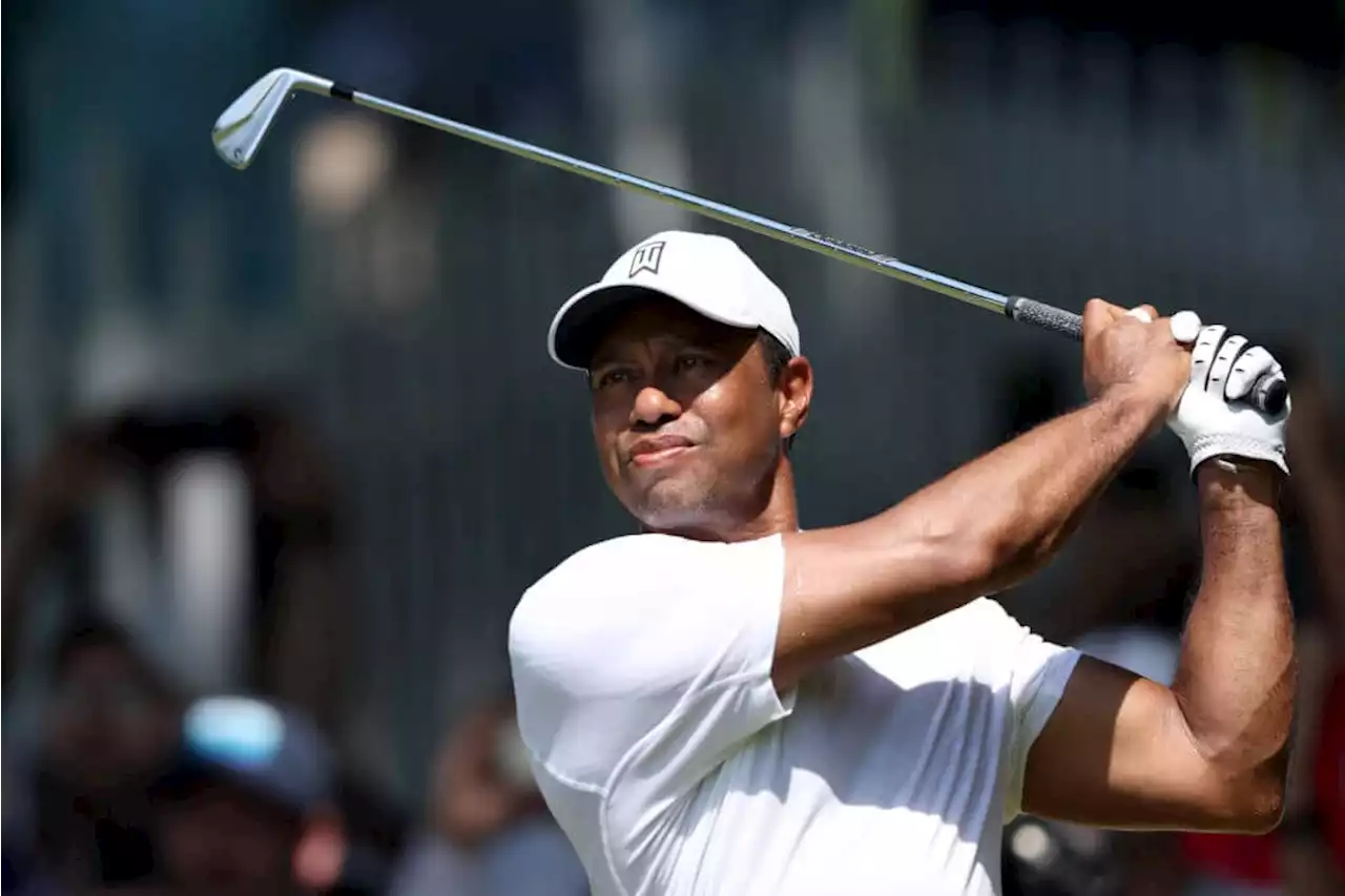 Tiger Woods says LIV Golf CEO Greg Norman 'has got to leave'