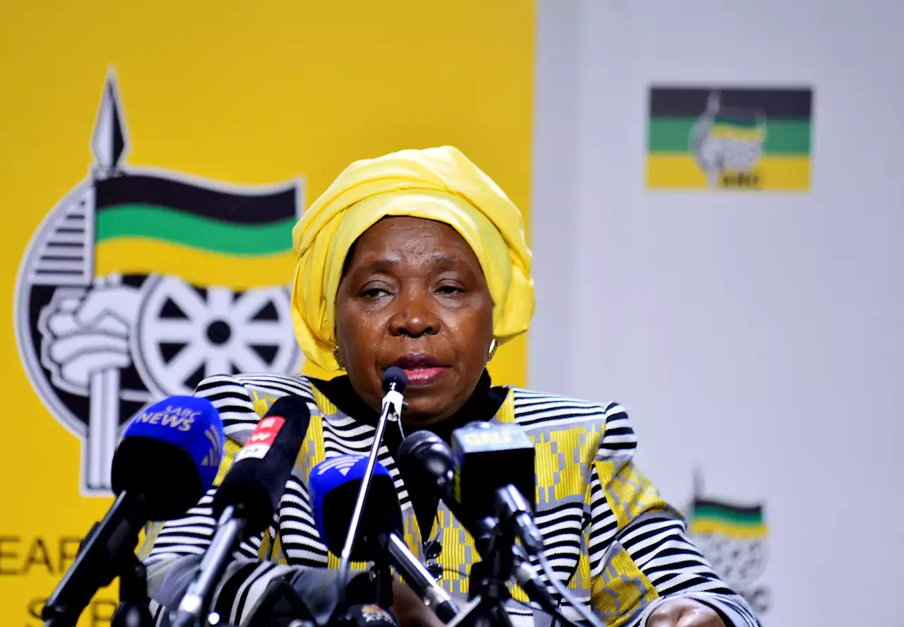 Dlamini-Zuma not giving up on ANC presidency despite nomination list snub | The Citizen