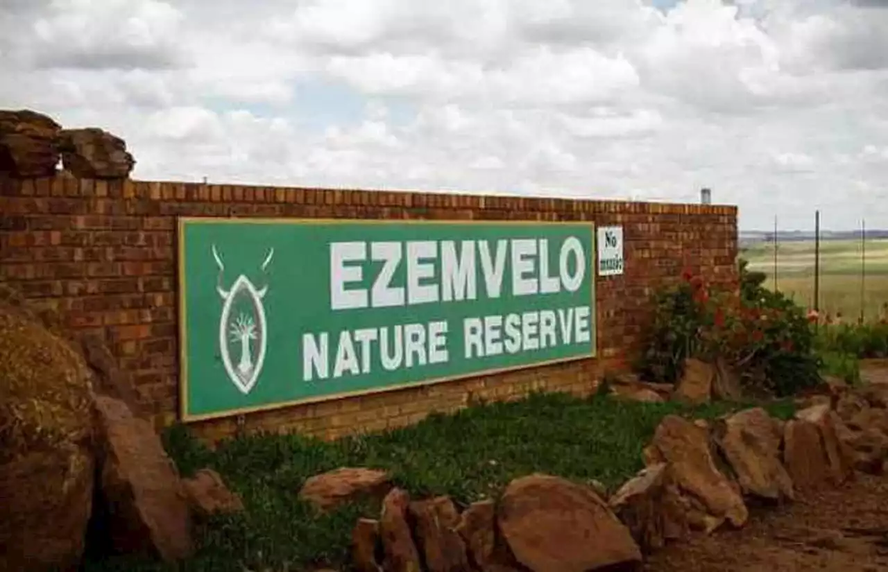 Ezemvelo hits back at Madonsela | Witness