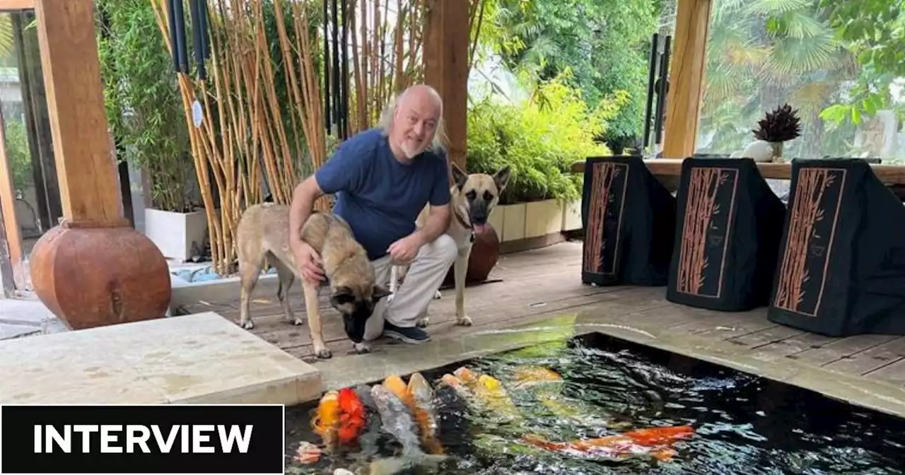 Bill Bailey: 'Dogs help bring me back down to earth'