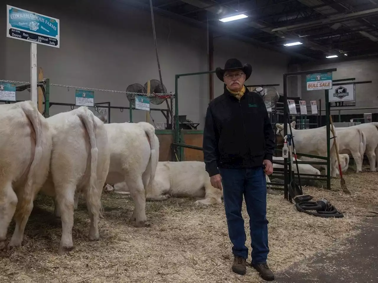 Sask. cattle ranchers feel inflationary squeeze, some look to exit