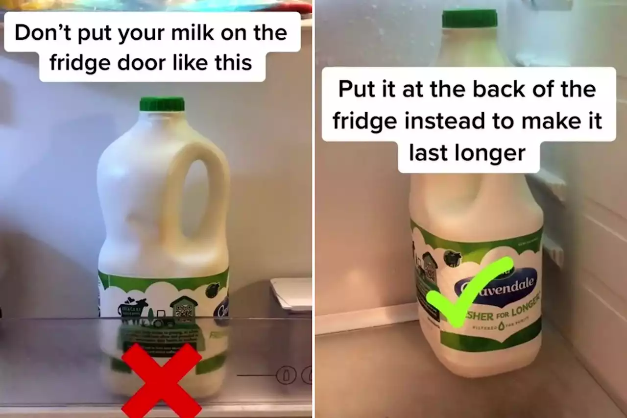 We're energy experts - why you should never store milk in your fridge door